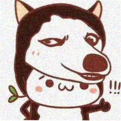 4K影院用户头像